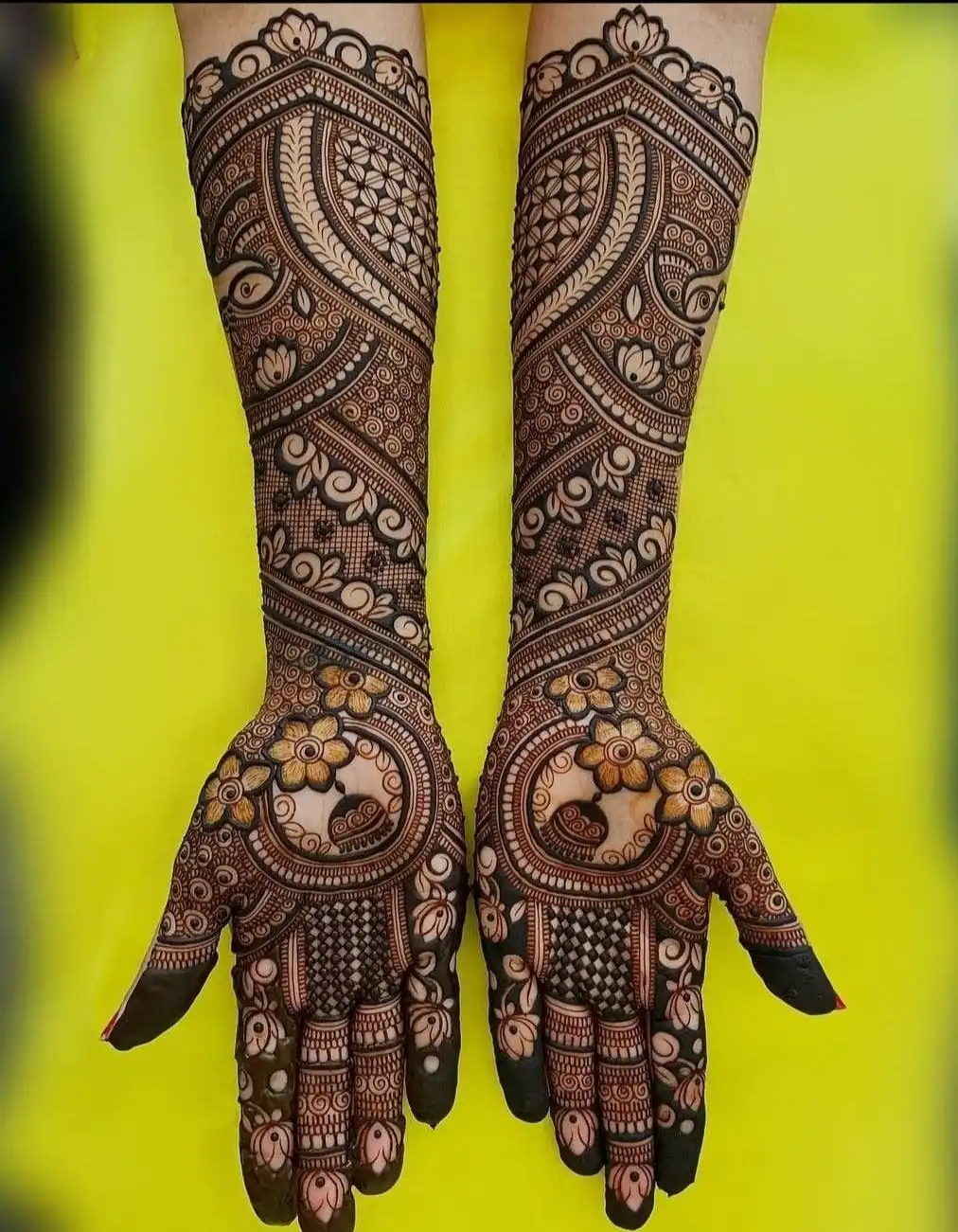 beautiful full hand mehndi designs picture