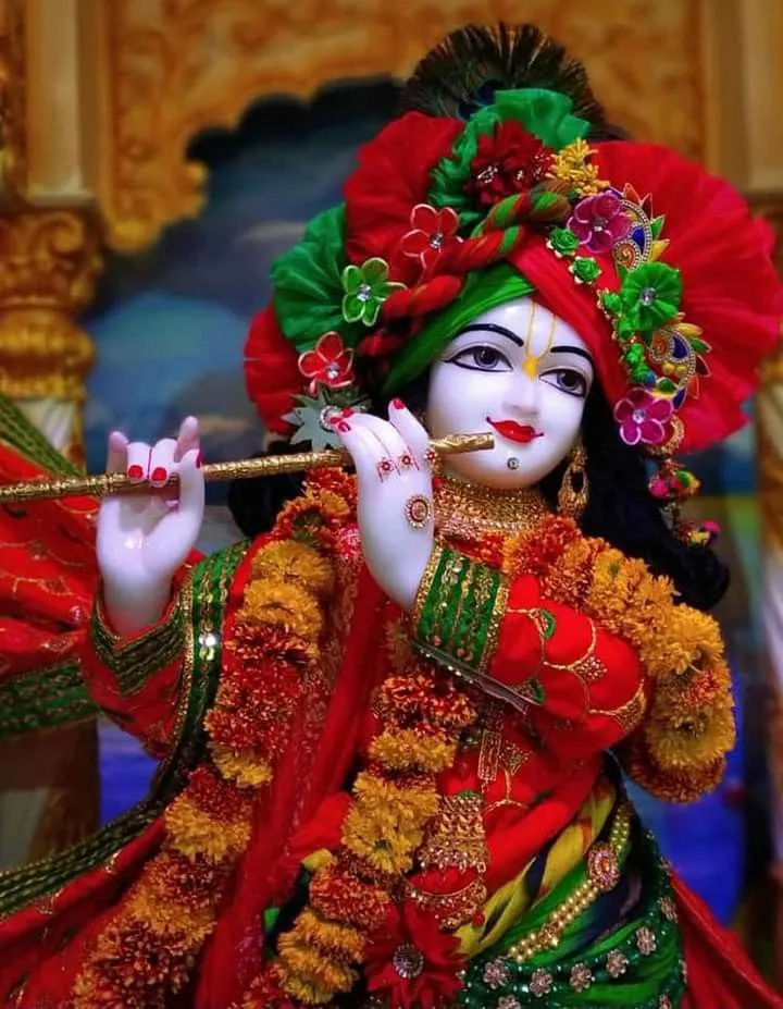 cute krishna photo cute krishna photo