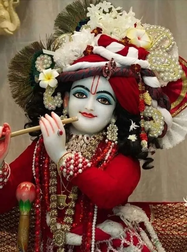 cute krishna photo cute krishna photo