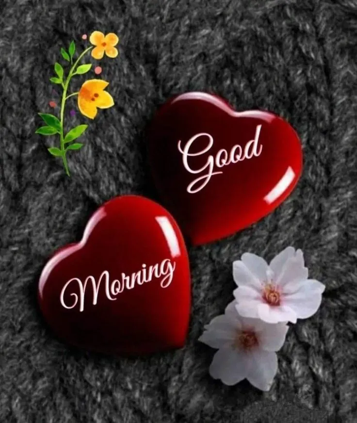 good morning heart touching image