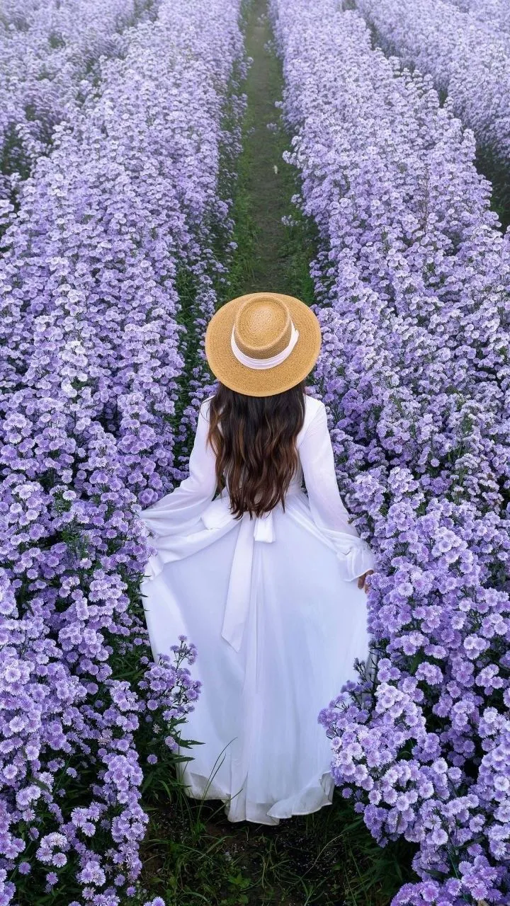 hidden face girl photo