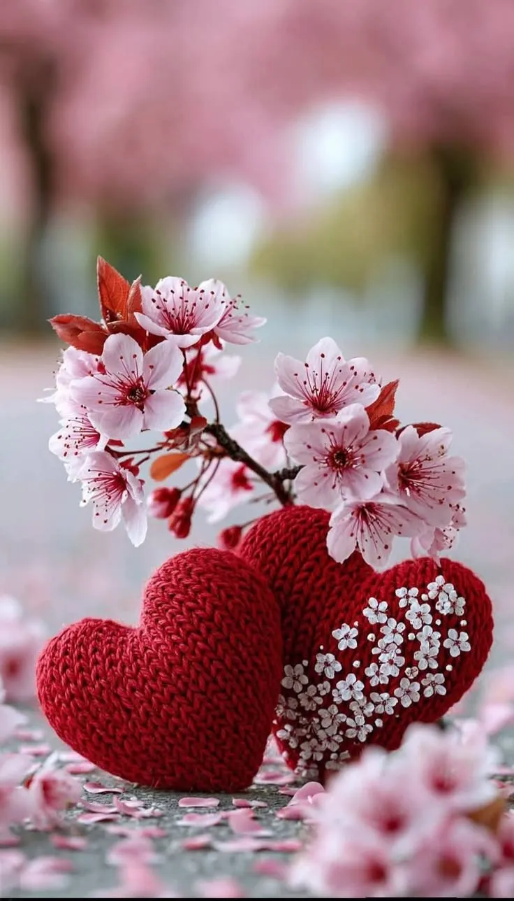 Love Heart Photos