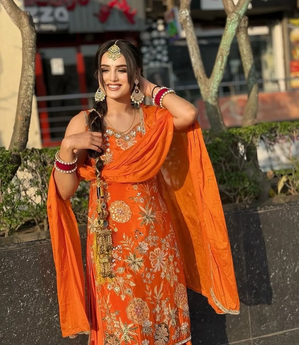 Punjabi Girl Pic Download